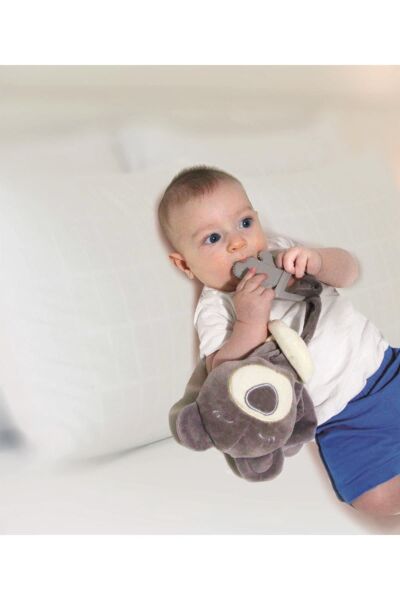 Babyjem Diş Kaşıyıcılı Uykucu Ayıcık Gri 680