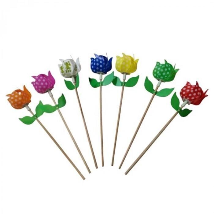 Kardeşler Rüzgar Gülü Lale  Tekli  Karma Renk