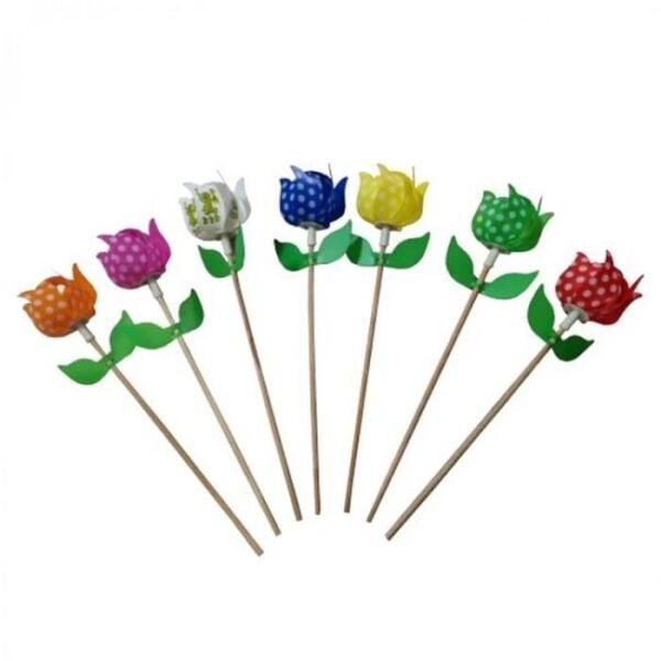 Kardeşler Rüzgar Gülü Lale  Tekli  Karma Renk