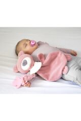 Babyjem Diş Kaşıyıcılı Uykucu Ayıcık Gül Kurusu 680