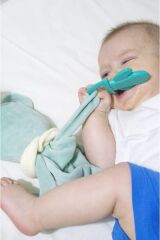 Babyjem Diş Kaşıyıcılı Uykucu Ayıcık Yeşil 680