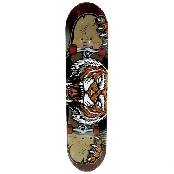 Can Oyuncak Renkli Teker Kaykay 3108