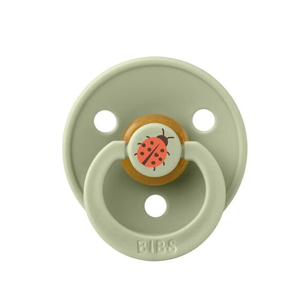 Bıbs Studio Colour Ladybug Emzik-Sage 0-6 Ay